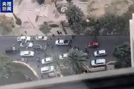 反政府武装宣布推翻政权 阿萨德去向不明 叙利亚局势为何迅速变化？一文梳理图片