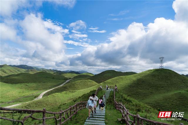 【每日一图@湖南】邵阳城步南山牧场：生态画卷里的活力乐章