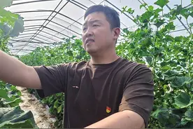 驻村书记做好大棚经济文章图片
