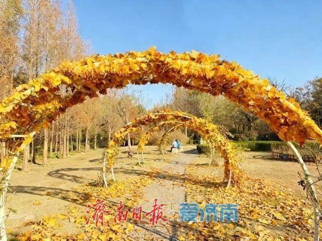邂逅落叶的浪漫！公园景区解锁秋冬限定景色 | 一年四季 泉在济南
