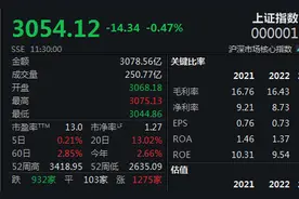 两大防御板块走强，A股迎来震荡整理图片