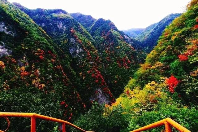 2025保康秋游季，邀您共赏山色如画