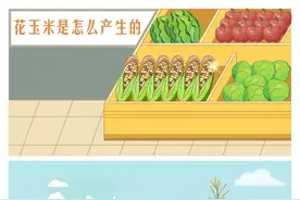 齐评 | 花玉米是怎么产生的图片