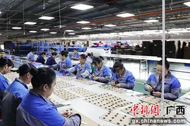 广西荔浦：项目建设“加速器”持续发力 推动经济稳中向好发展图片