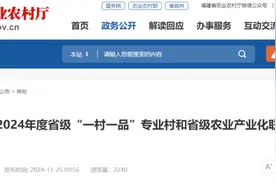 省级名单公示！福建217个村、48个联合体上榜→图片
