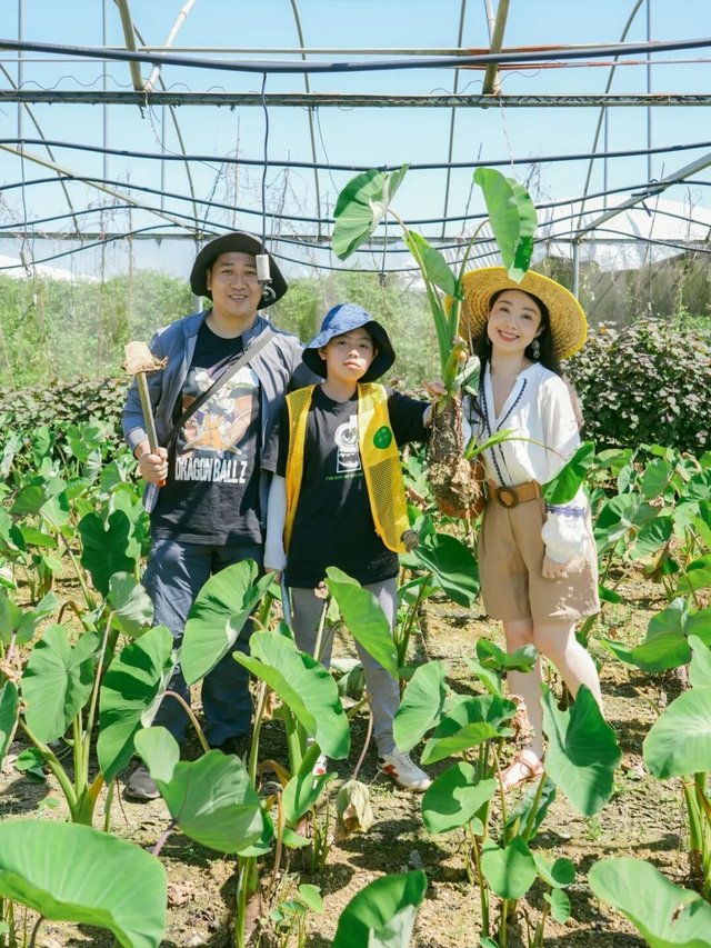 是时候回村了！来南宁共享田园慢生活，共赏万亩灯海