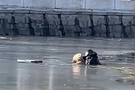 北京西城警方：一男孩在什刹海落水，多人6分钟救起图片
