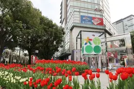 2025年静安花朝节在大宁国际璀璨绽放图片