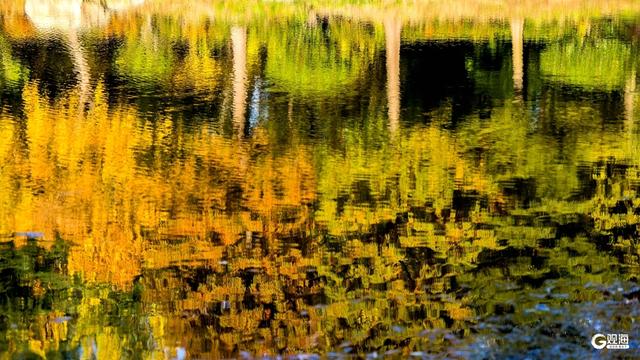 深秋时节，碧水彩林相映美