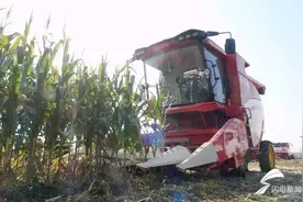 潍坊：农机作业注意事项需记牢 “三秋”生产安全推进有保障图片