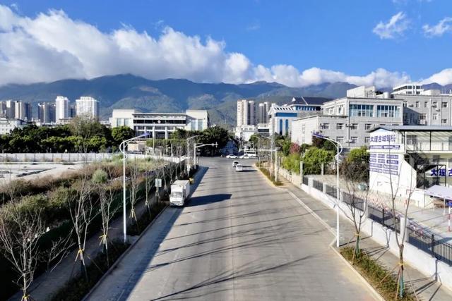 又添一条樱花大道 大理三月好风光