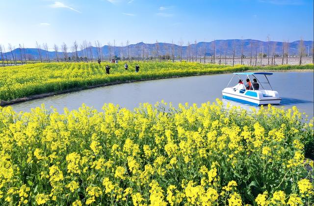 儿童友好城市建设| 踏寻“七彩”研学路 共赴绿色生态之旅 连云港市儿童友好研学线路简介