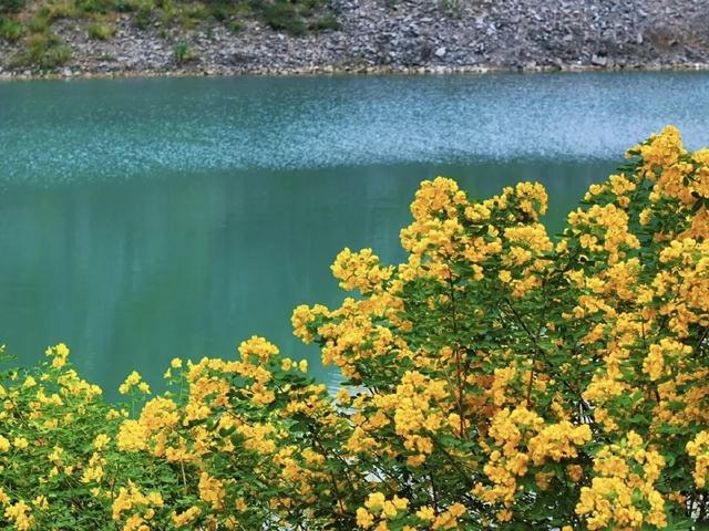 太美了！长寿版“九寨沟”，还有好多人不知道→