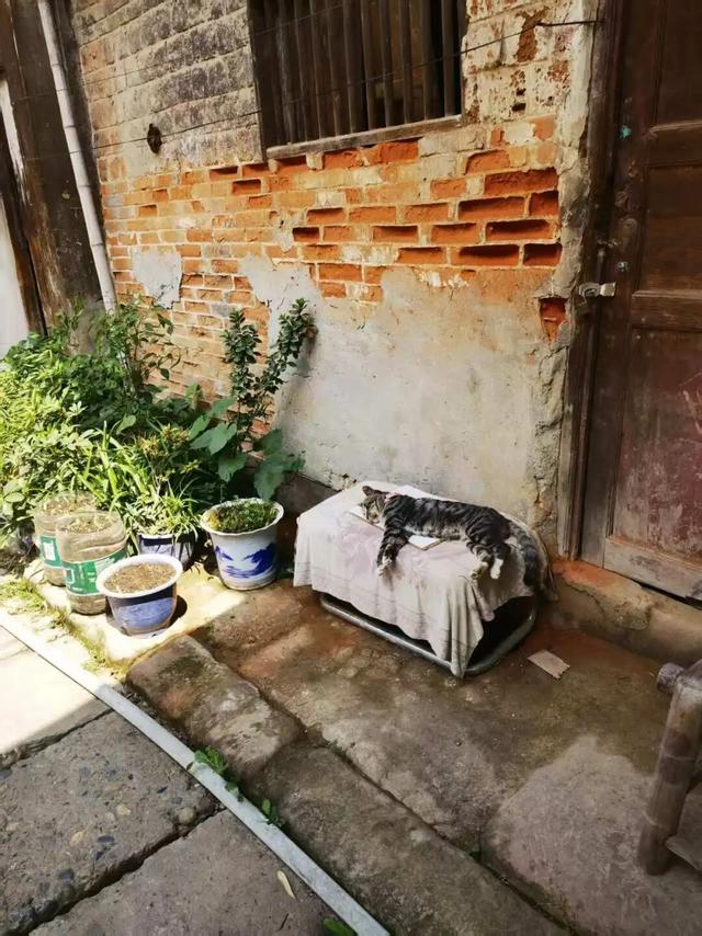 穿越龙泉山，发现一个「活的」老场镇
