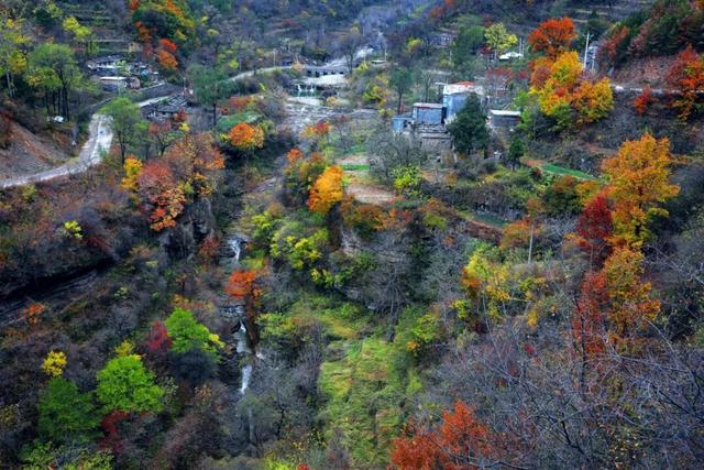 豫见两山 绿色答卷丨生态之旅——打卡“红旗渠的故乡”林州