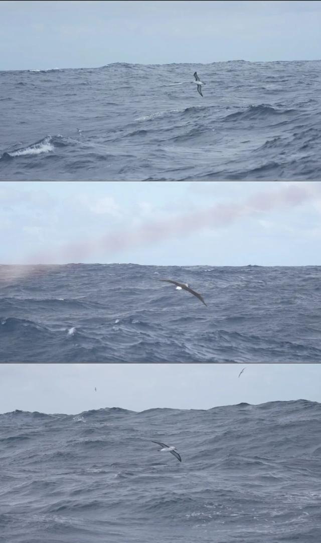 30岁未婚，我选择辞职去环球航海