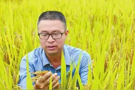 赵炳然：稻田里“长”出的专家图片