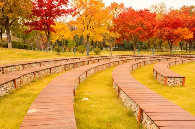 走进西安4大免费开放的宝藏公园