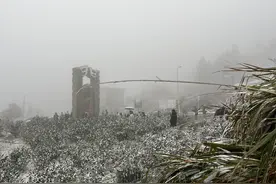 南平今冬初雪，飘落在这些地方→图片
