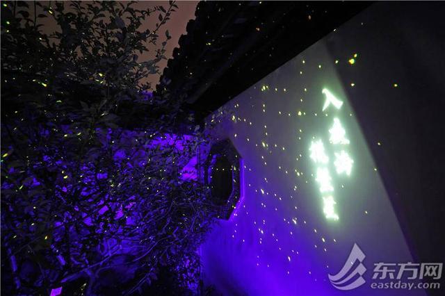 上海世博文化公园“璀璨之夜”重磅上线，把自然、艺术、科技、市集揉进八月的夏夜里