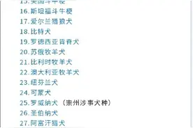 重庆32种禁养犬目录，这13件事养犬人不能做！图片