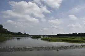 青州弥河国家湿地公园：擦亮文化品牌，做精弥河水文章图片