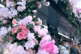 邯郸浪漫新地标，原来是甜的！图片