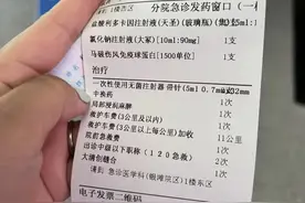北海多名游客被不明鱼类咬伤 网友讲述潜水被咬：很疼，伤口很深图片