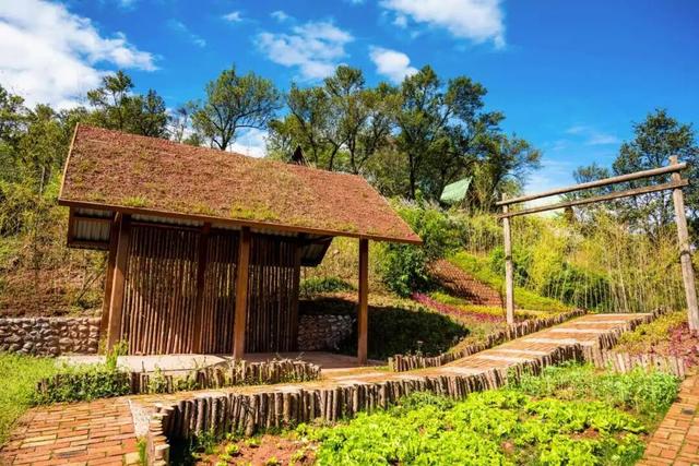 探索之旅 | 漫步天皇寺、探访砂陶坊!跟着大理“喜林苑”创始人林登游越西