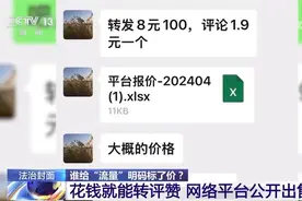 央视起底网络“水军”运作完整黑产链，整治网络黑流量也得揪出“买方”图片