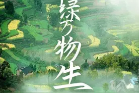 跨年晚会看哪家？这份换屏攻略收好图片