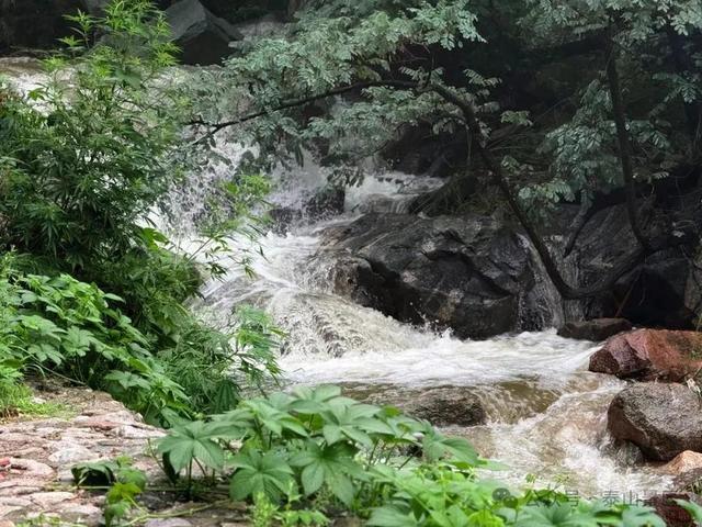 天晴了，雨停了，泰山云海先睹为快