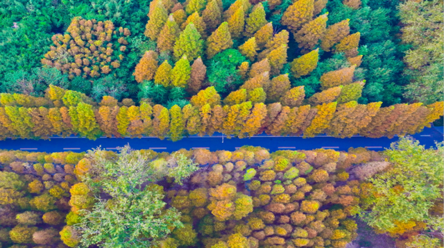日照！“青睐”之地合作伙伴！