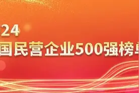 一文都有了，收藏！2024中国民营企业500强榜单、中国制造业......图片