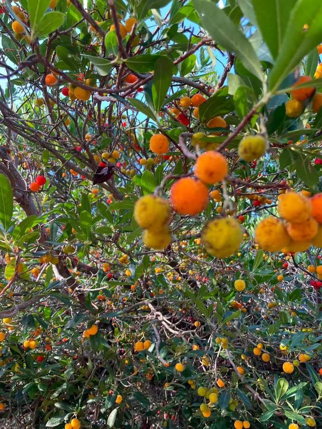 西班牙旅行随笔之加泰罗尼亚（上）