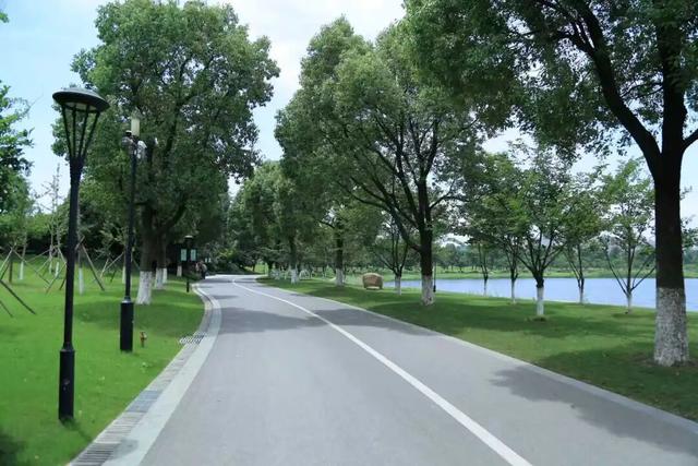 就在本周六！嘉兴这里又要热闹了……