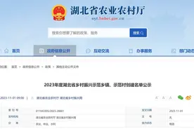 正在公示！蔡甸7个村上榜2023年省级乡村振兴示范村名单图片