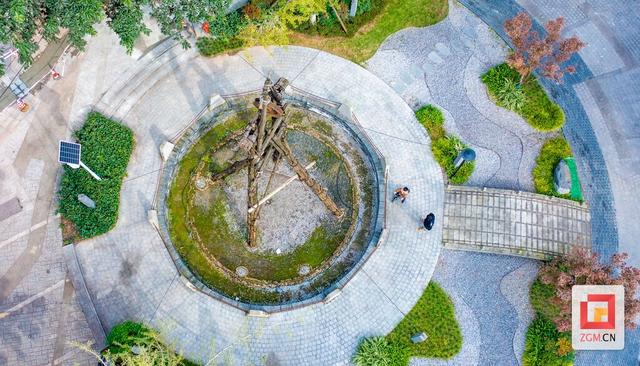 小桥井口袋公园：小盐井背后的“大能量”
