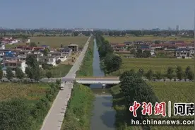 沈丘：“三网”建设助力秋粮生产图片