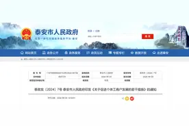 减半征收“六税两费”…泰安发布促进个体工商户发展措施图片