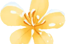 女子为“爱”转账4万元，男子却说是小费！紫阳法院咋处理？图片