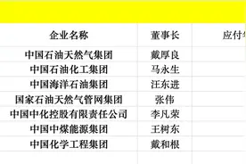 能源化工央企董事长“工资条”公布，这家“一把手”年薪居首图片
