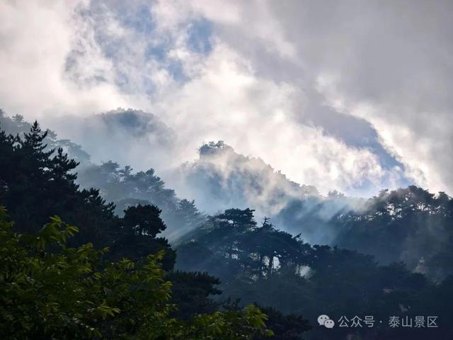 泰山雨霁：云雾织仙境，霞光染群峰，这泼墨山水里藏着夏日最治愈的奔赴