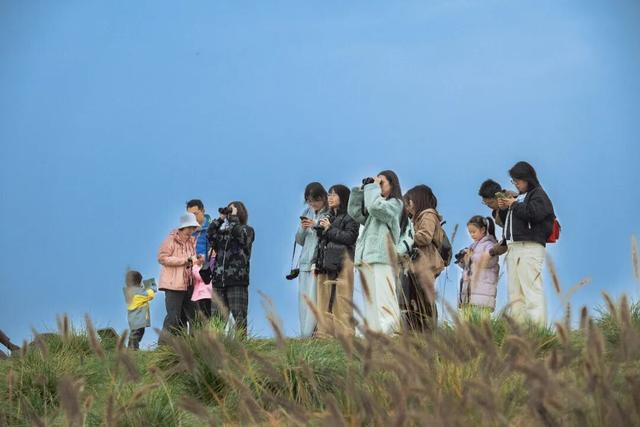 西安冬季观鸟指南 赴一场“飞羽之约”