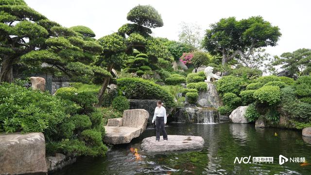 家门口的新佛山丨沿着彩虹河堤，“穿越”岭南文化精致小城