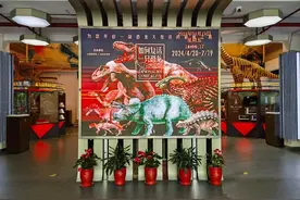 如何“复活”一只恐龙？来松江这个展览一探究竟图片