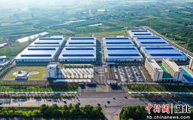 枣阳举办“我心中的2030、2035”主题赛汇聚发展之智