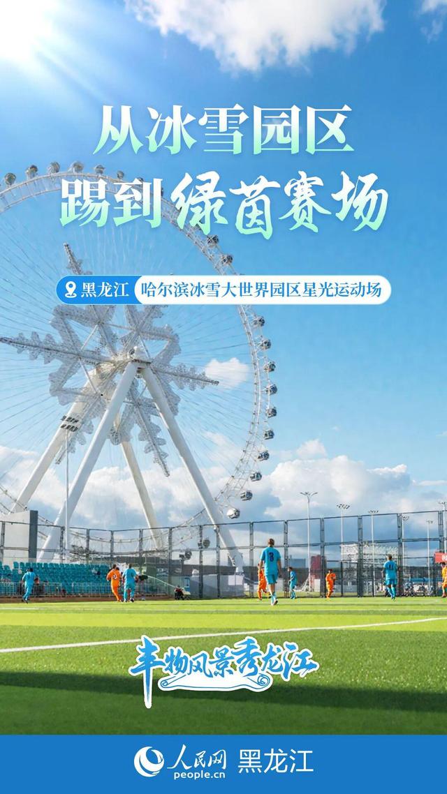 丰物风景秀龙江｜黑土地的绿脉呼吸