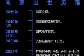 “纯血”鸿蒙从头越，华为如何打开新世界图片