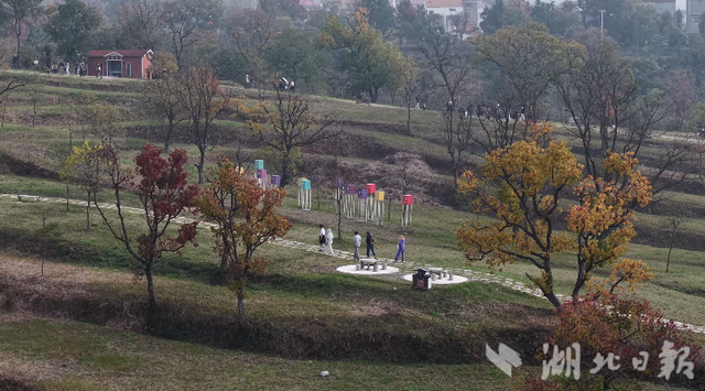 大悟：红叶映山秋意浓   层林尽染引客来